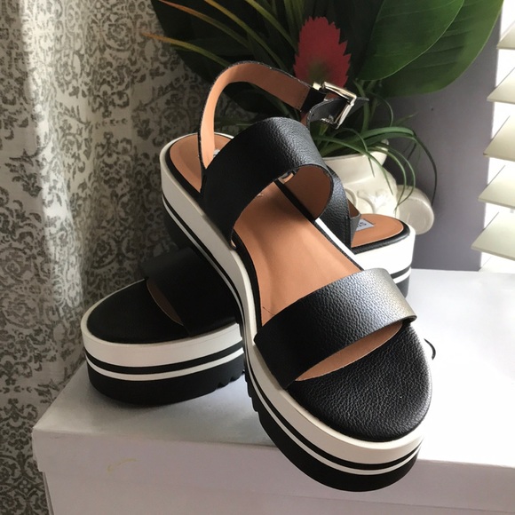 Steve Madden Shoes - Steve Madden black and white sandals